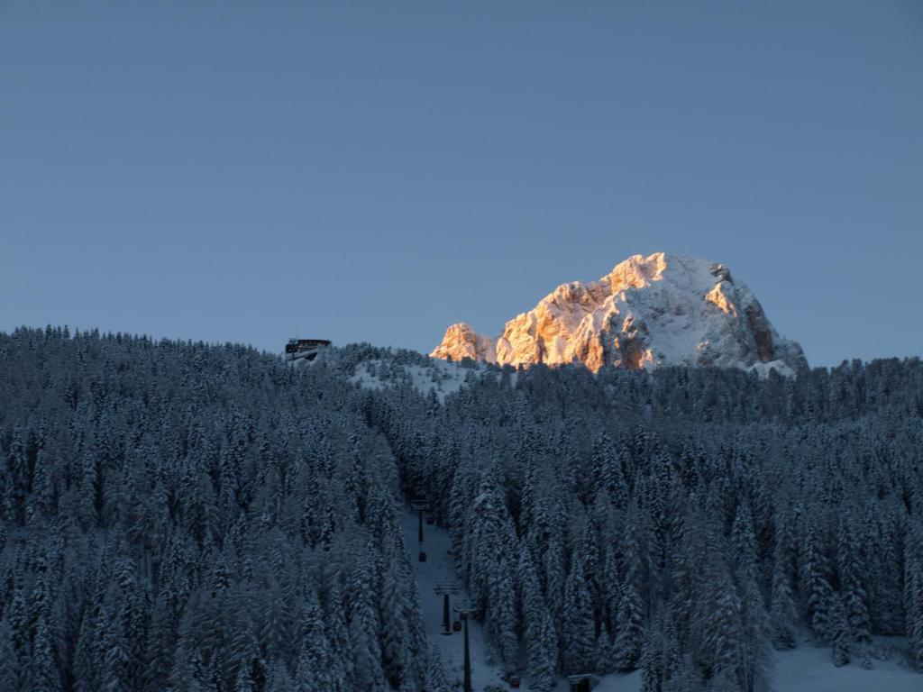 Garni Flurida Bed & Breakfast Selva di Val Gardena Exterior photo